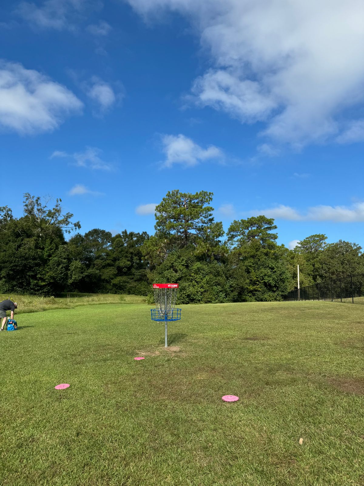 Hole 2 basket
