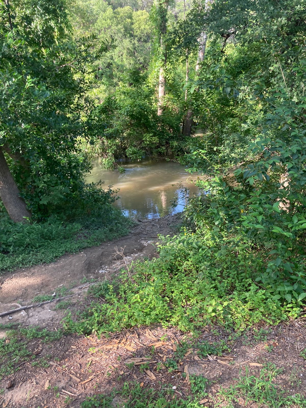 Hole 14 tee box (flooded)