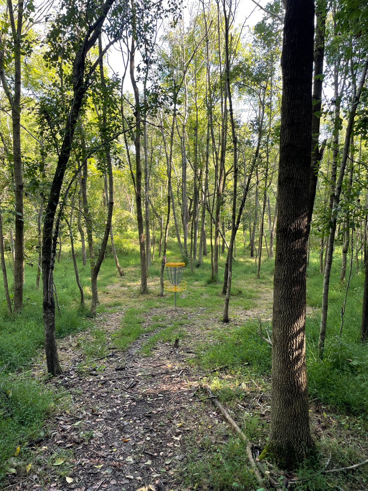 Hole 8