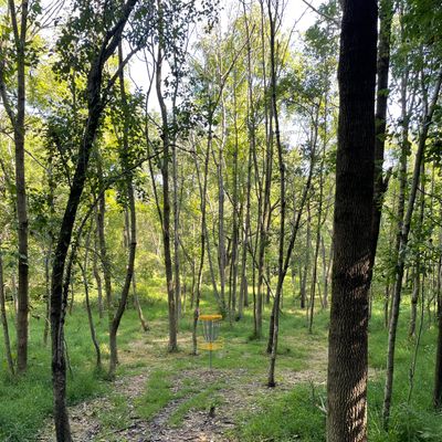Hole 8