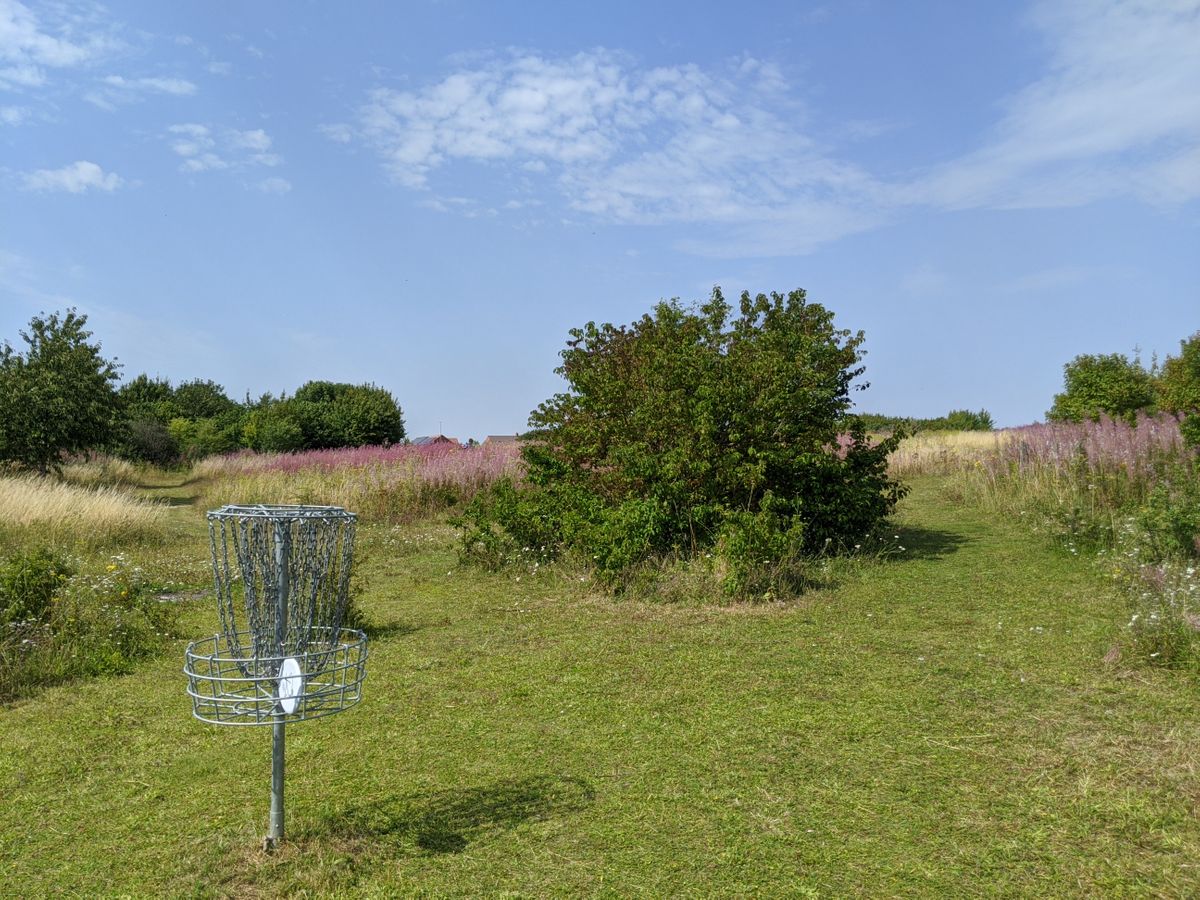 16th