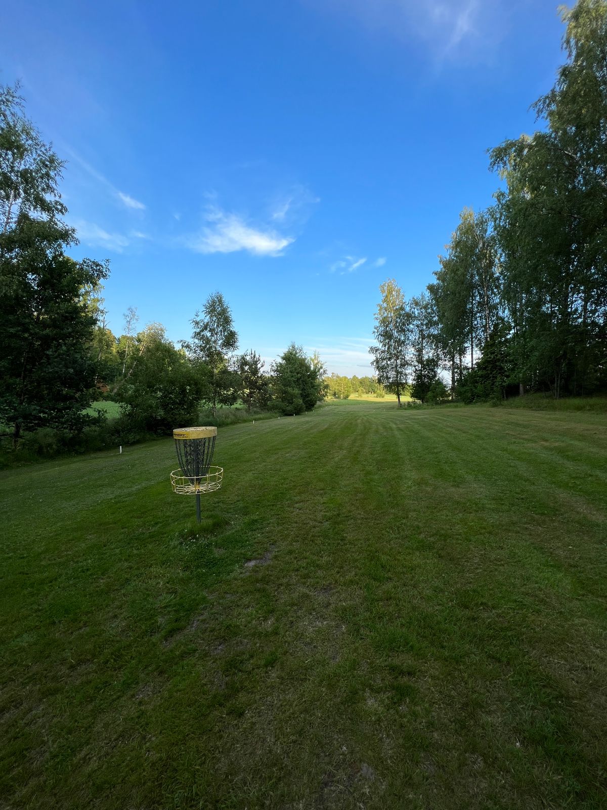 Hole 14 basket