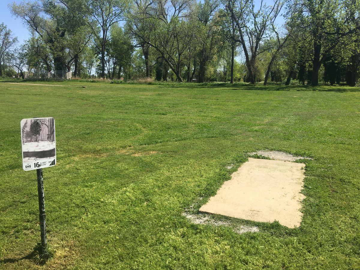 Hole 16. Get that ace!