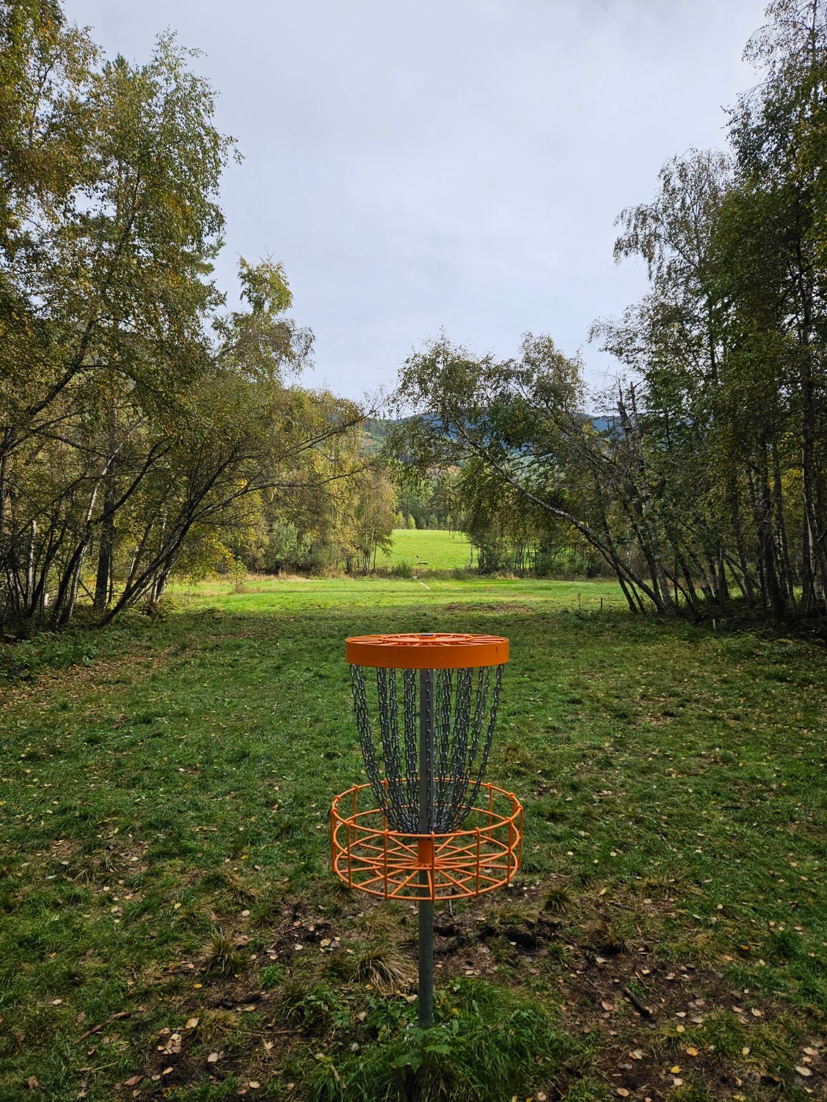 Kaupanger frisbeepark