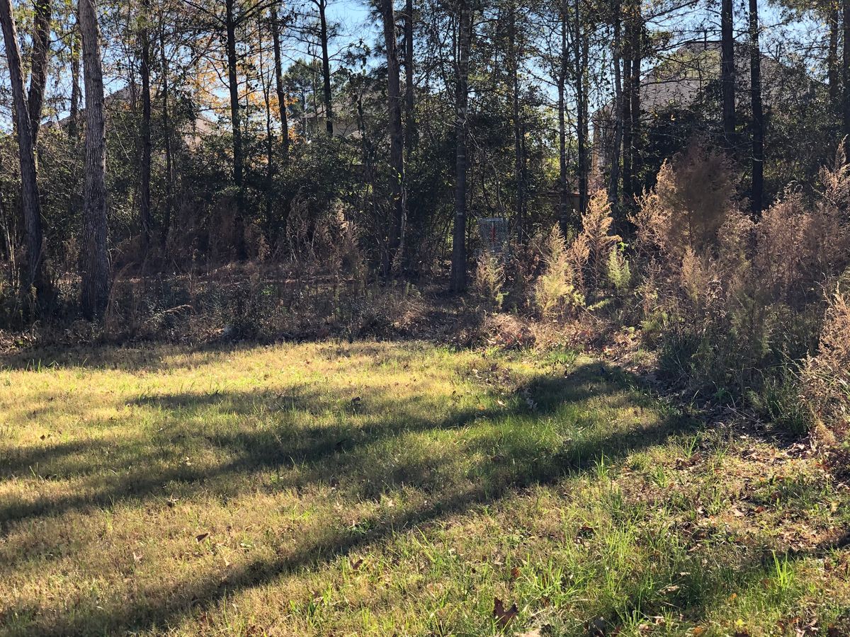 #3 basket approach from field