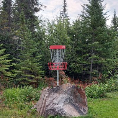 Putting 🌲🌲🌲🌲