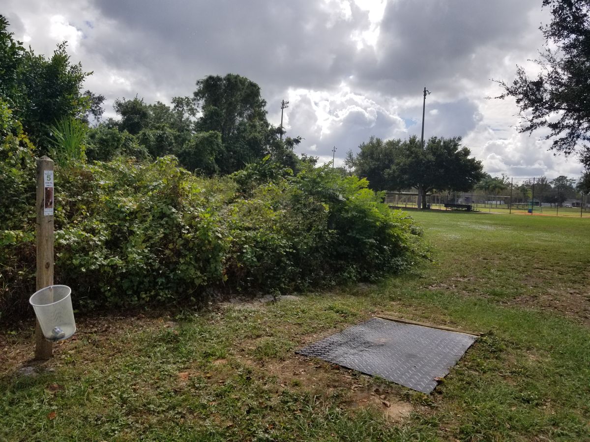 Hole 5
