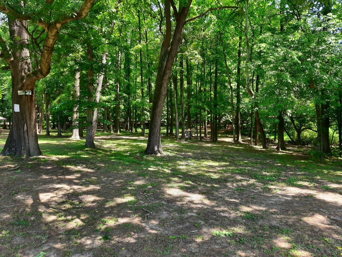 Hole 7 Approach