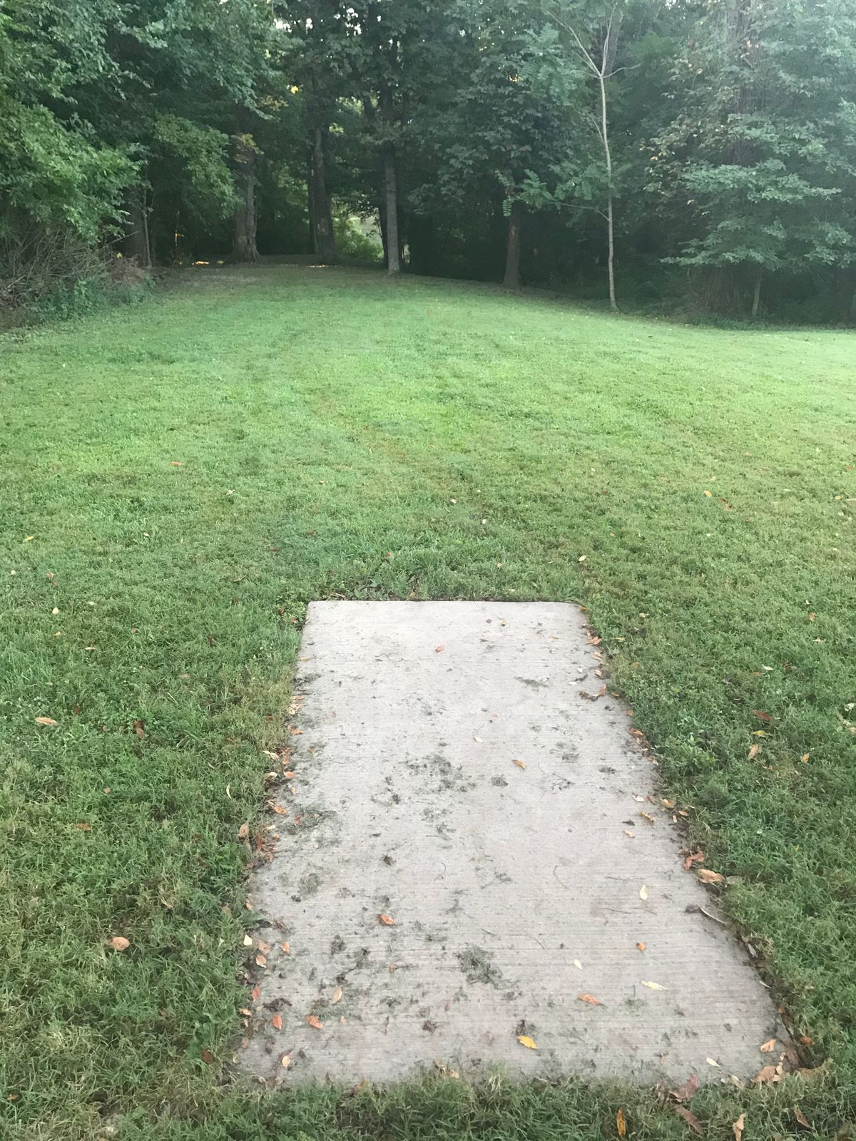 Hole 2 Tee pad