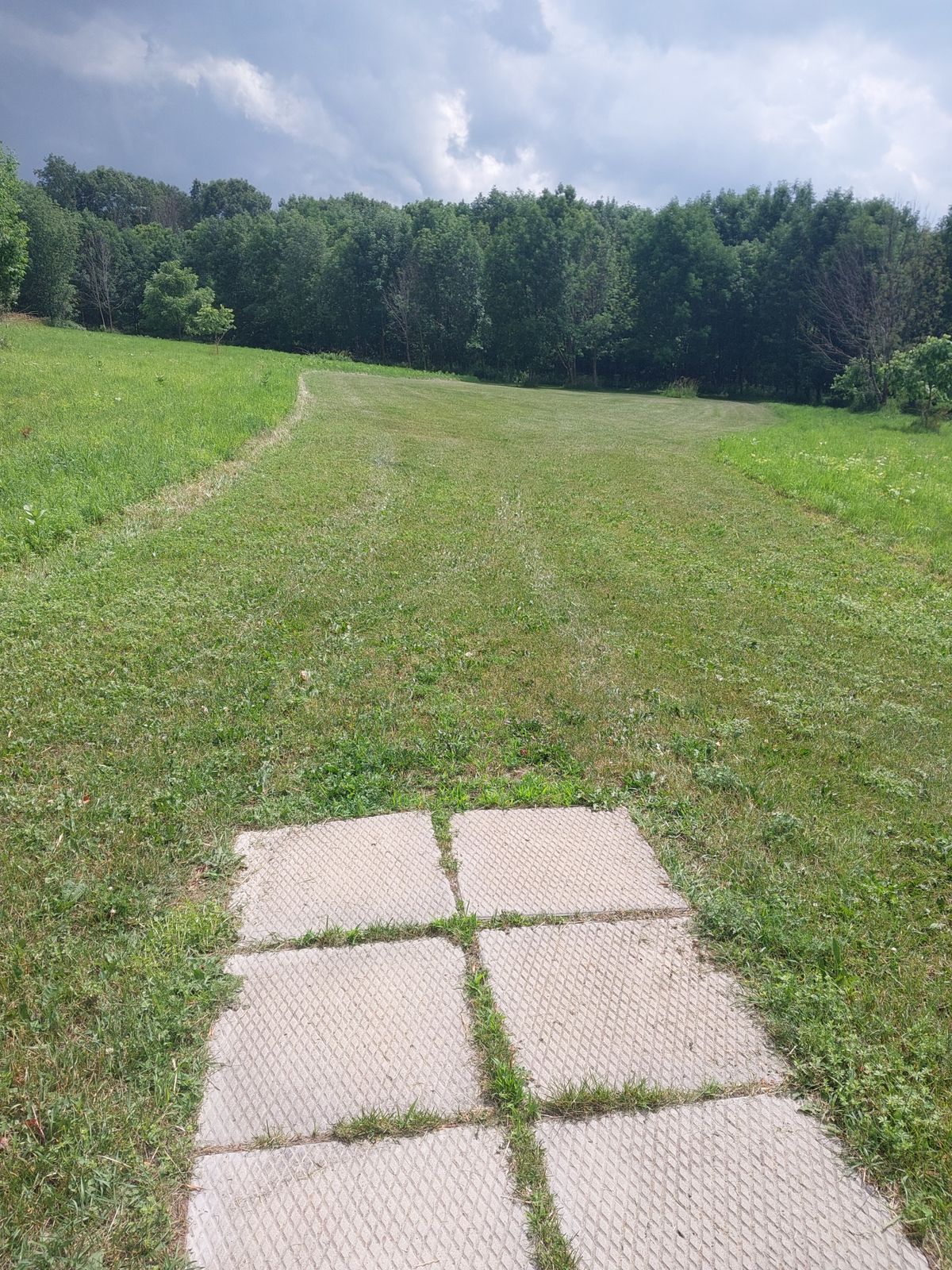 Freshly mowed