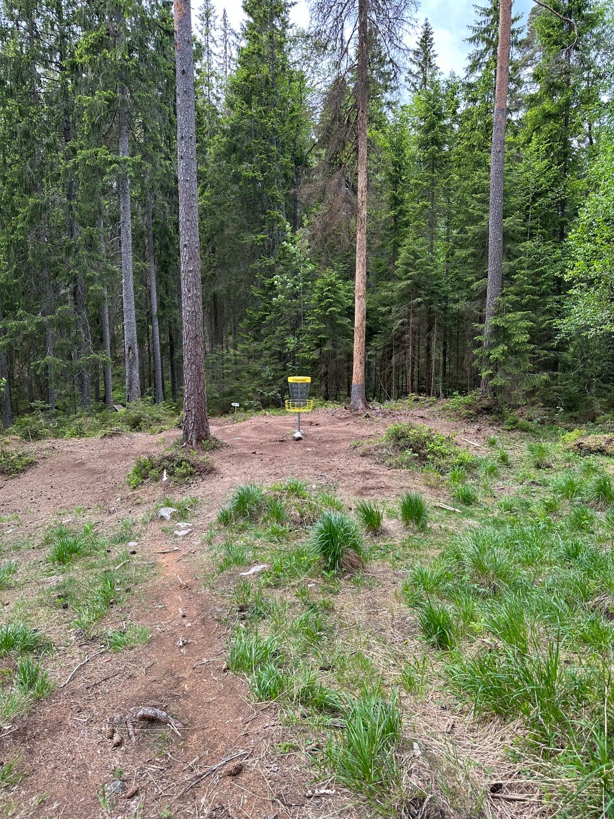 Hål 12