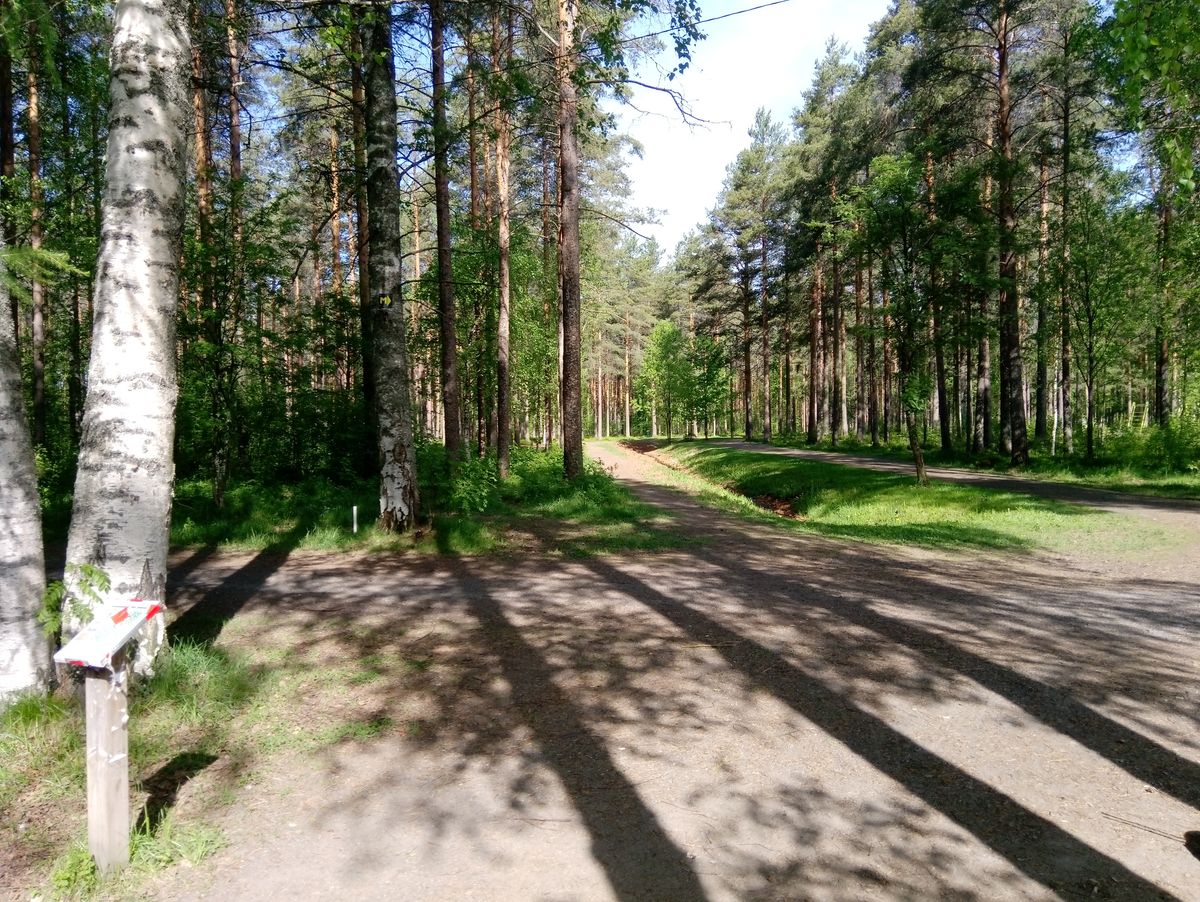 Hole #1 (8.6.2022).