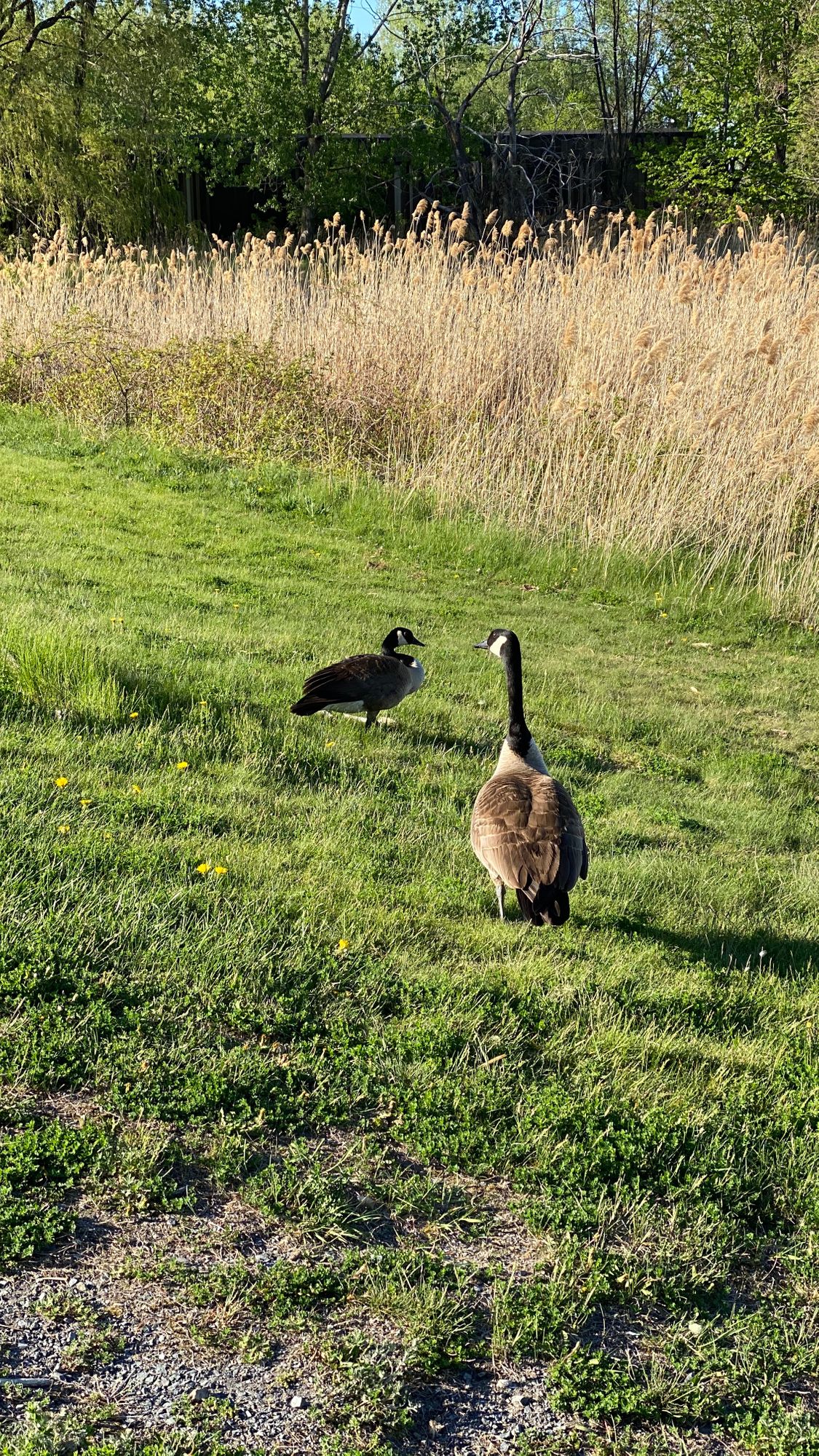 Great nature around the course
