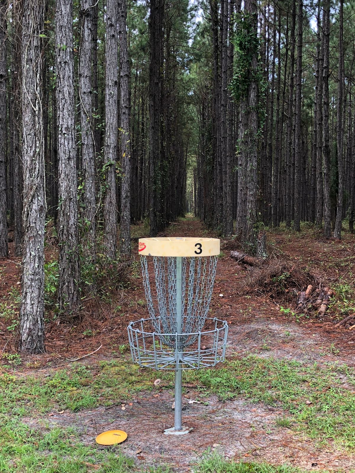 Hole 3, yellow basket