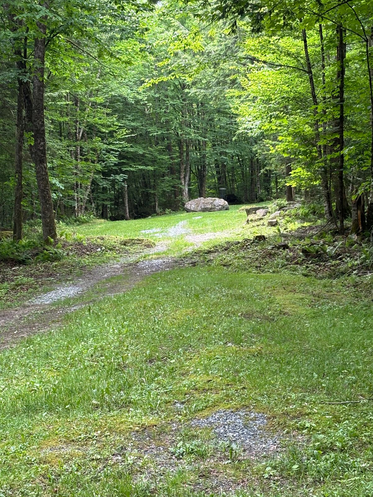 Hole 8 silver tee
