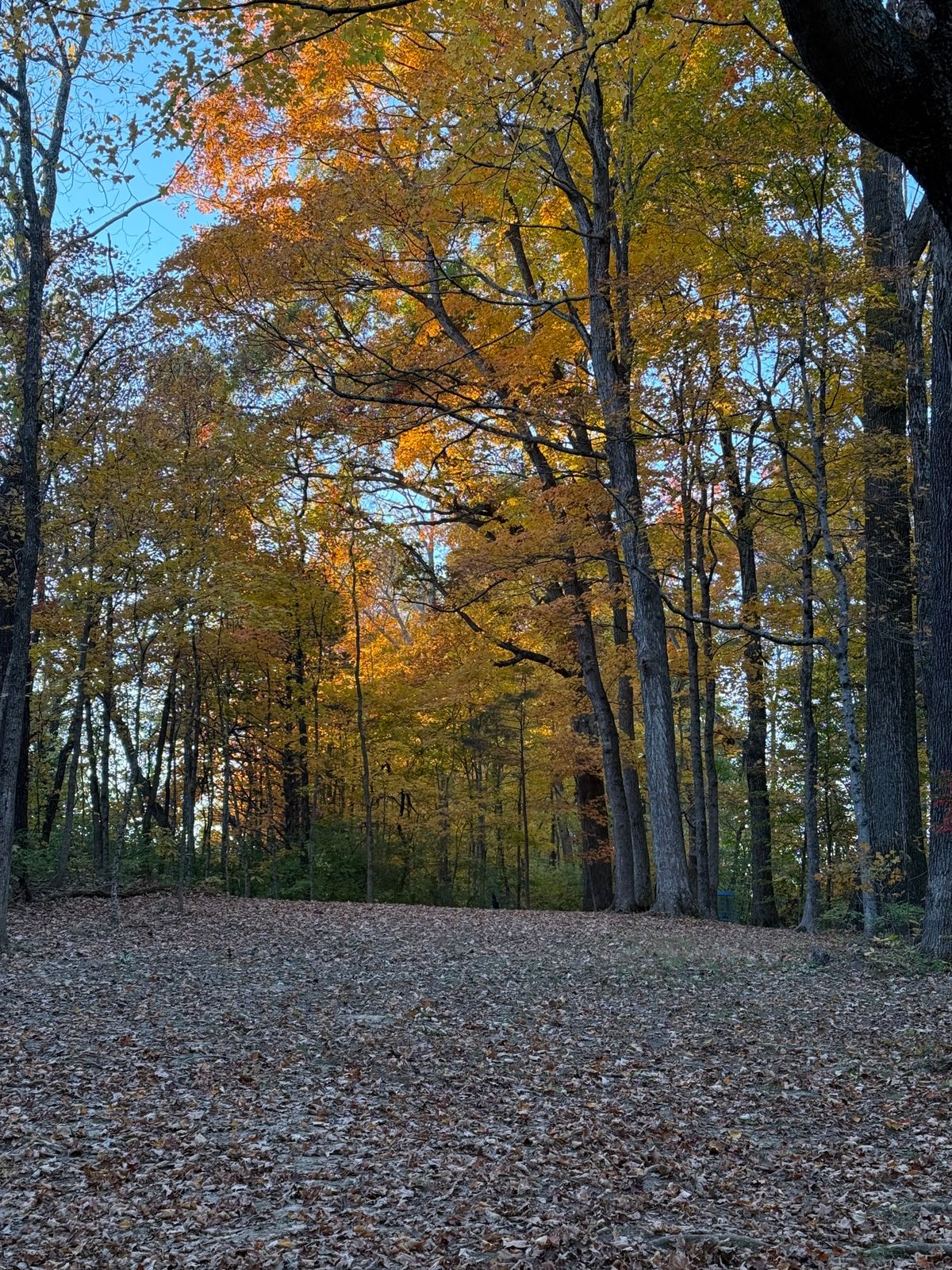 Hole 3.