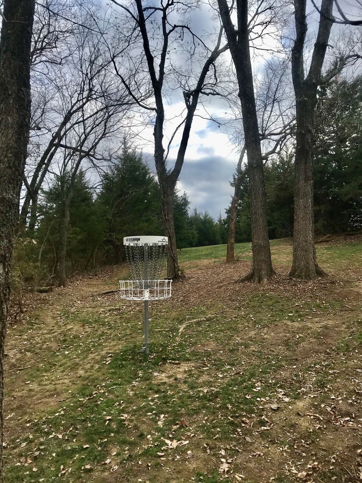Hole 2 Basket to Tee