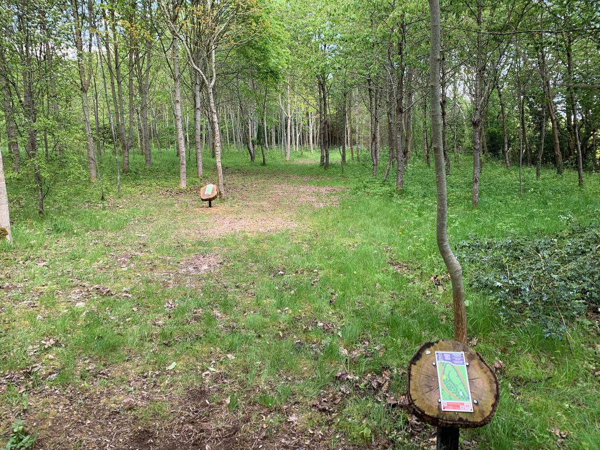 Hole 3, a great woods hole