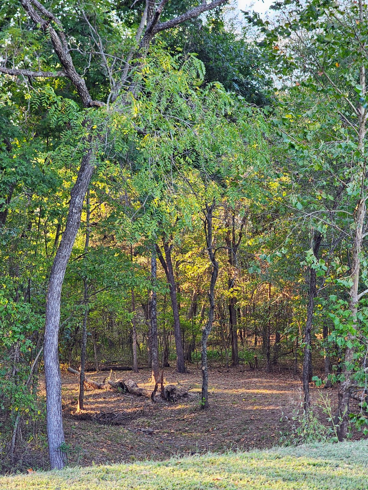 Hole 14