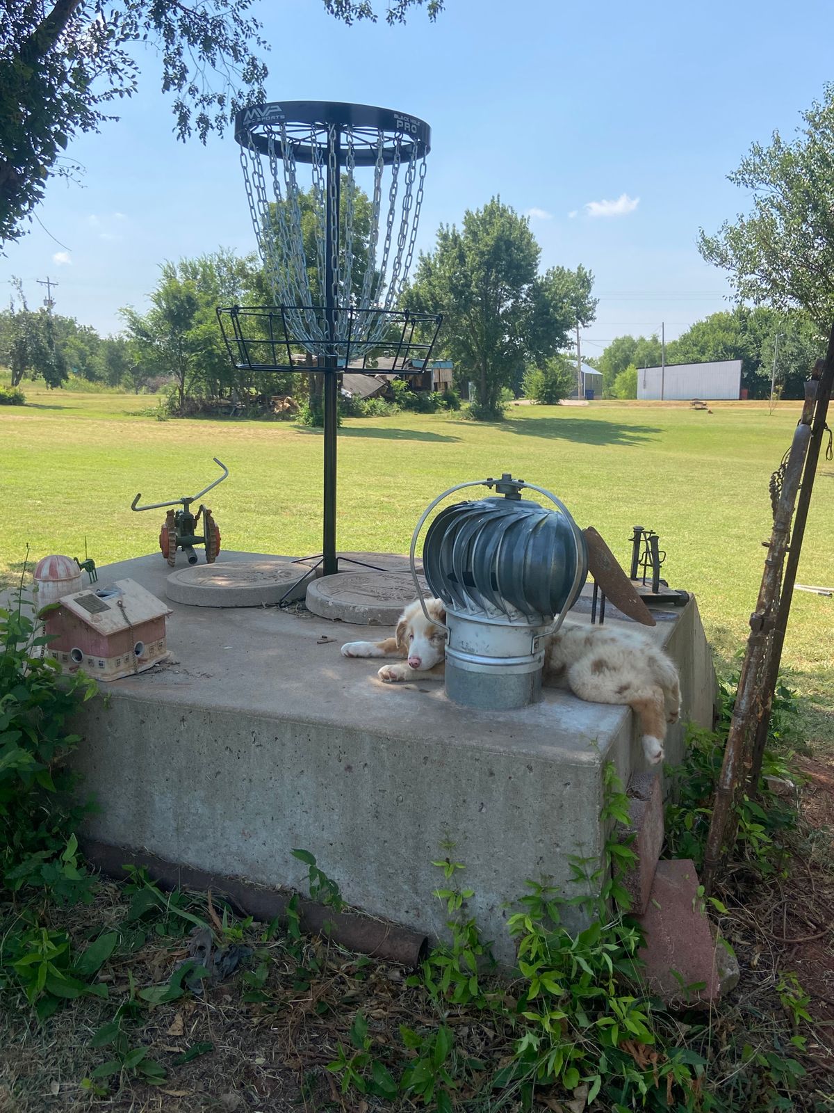 Hole 9 (with a friend)