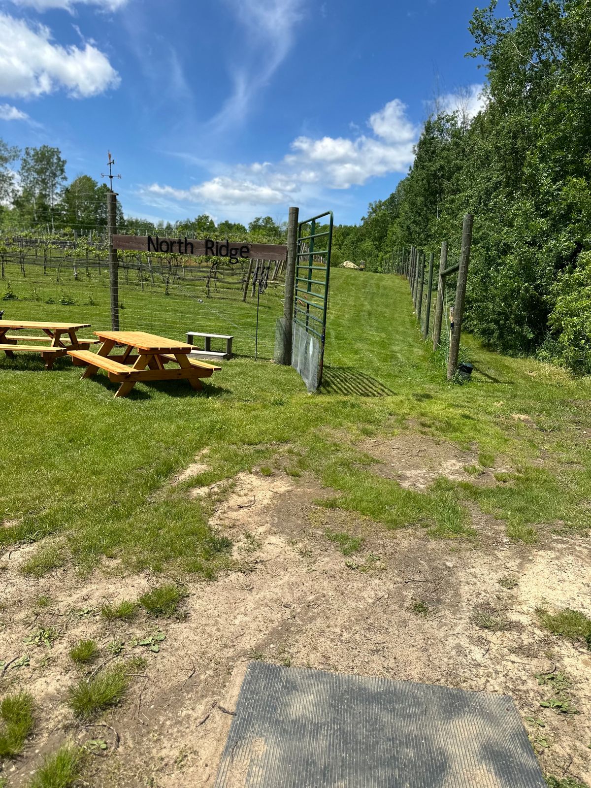 Hole 1
