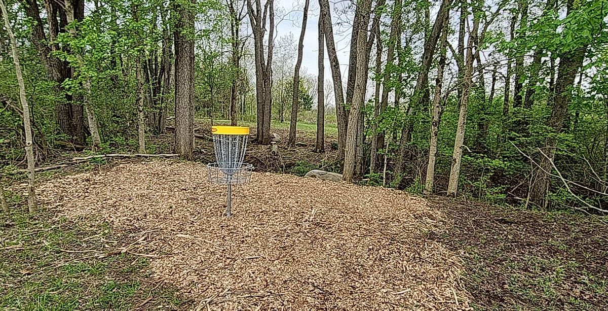 Basket 10 green looking back up fairway.