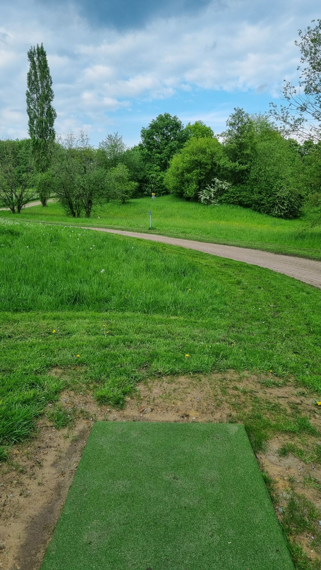 Hole 4