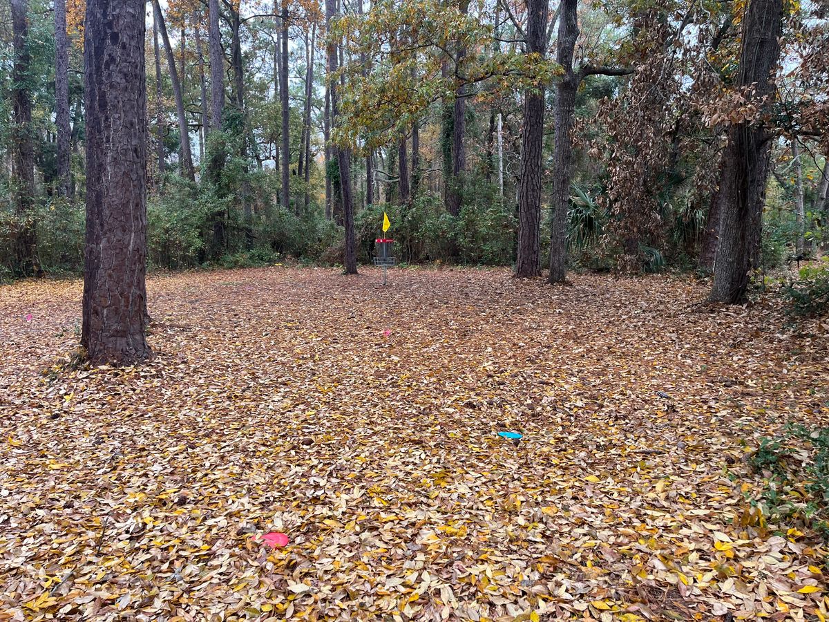 Hole 6. Love the leaves as long as they don’t eat a disc.