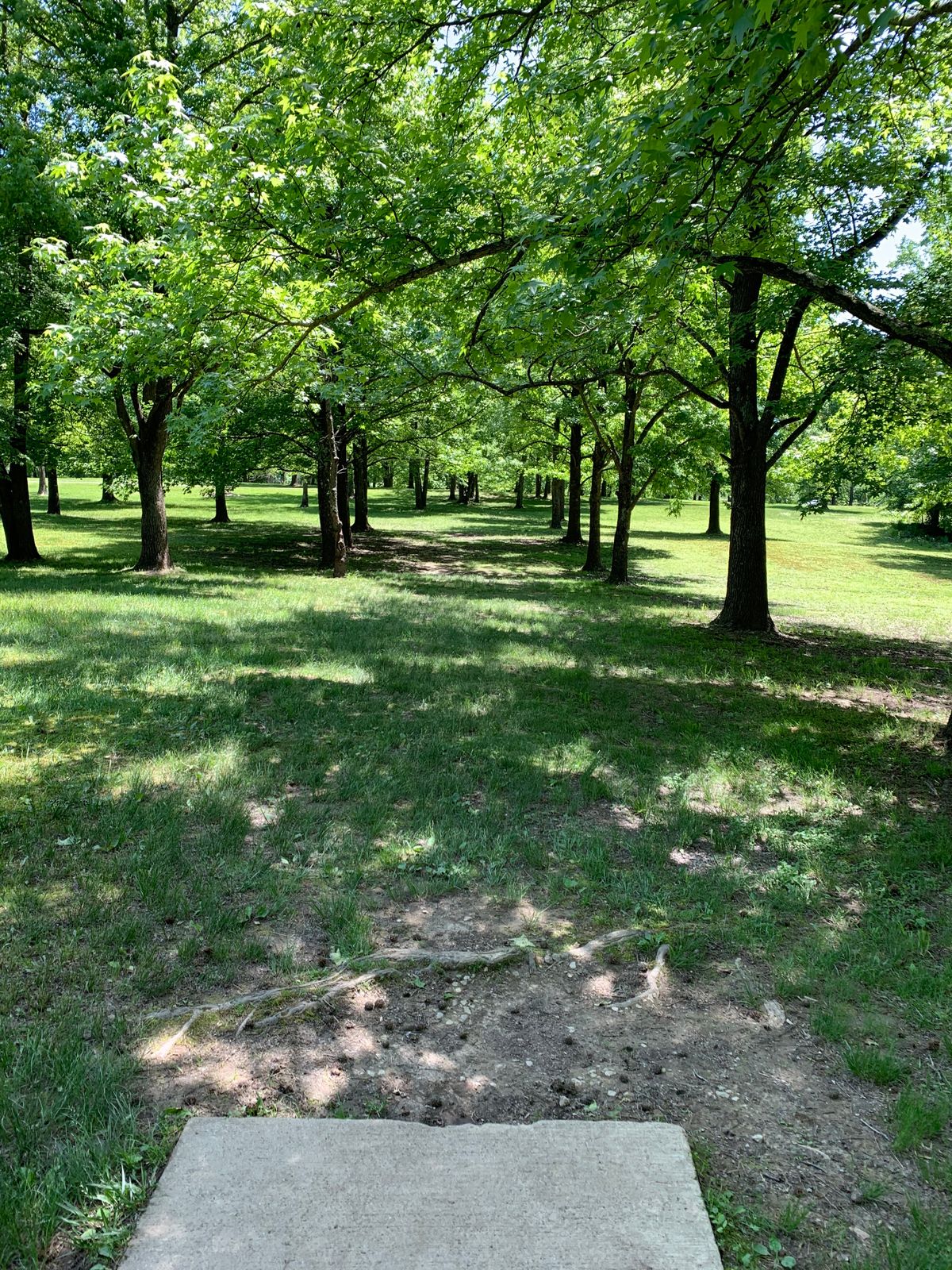 Hole 10 Short Tee