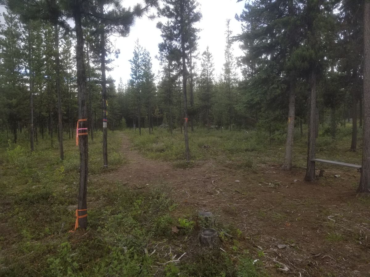 Hole #1