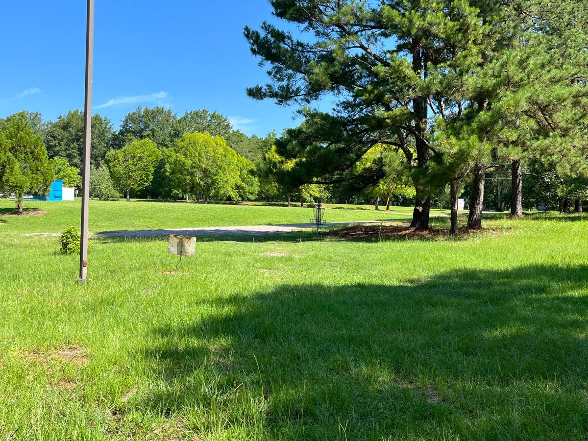 Hole 7 basket