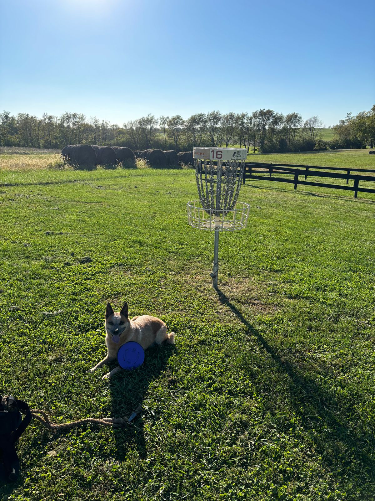 Best course my dog”Osker” and I have been to central Lexington!!!