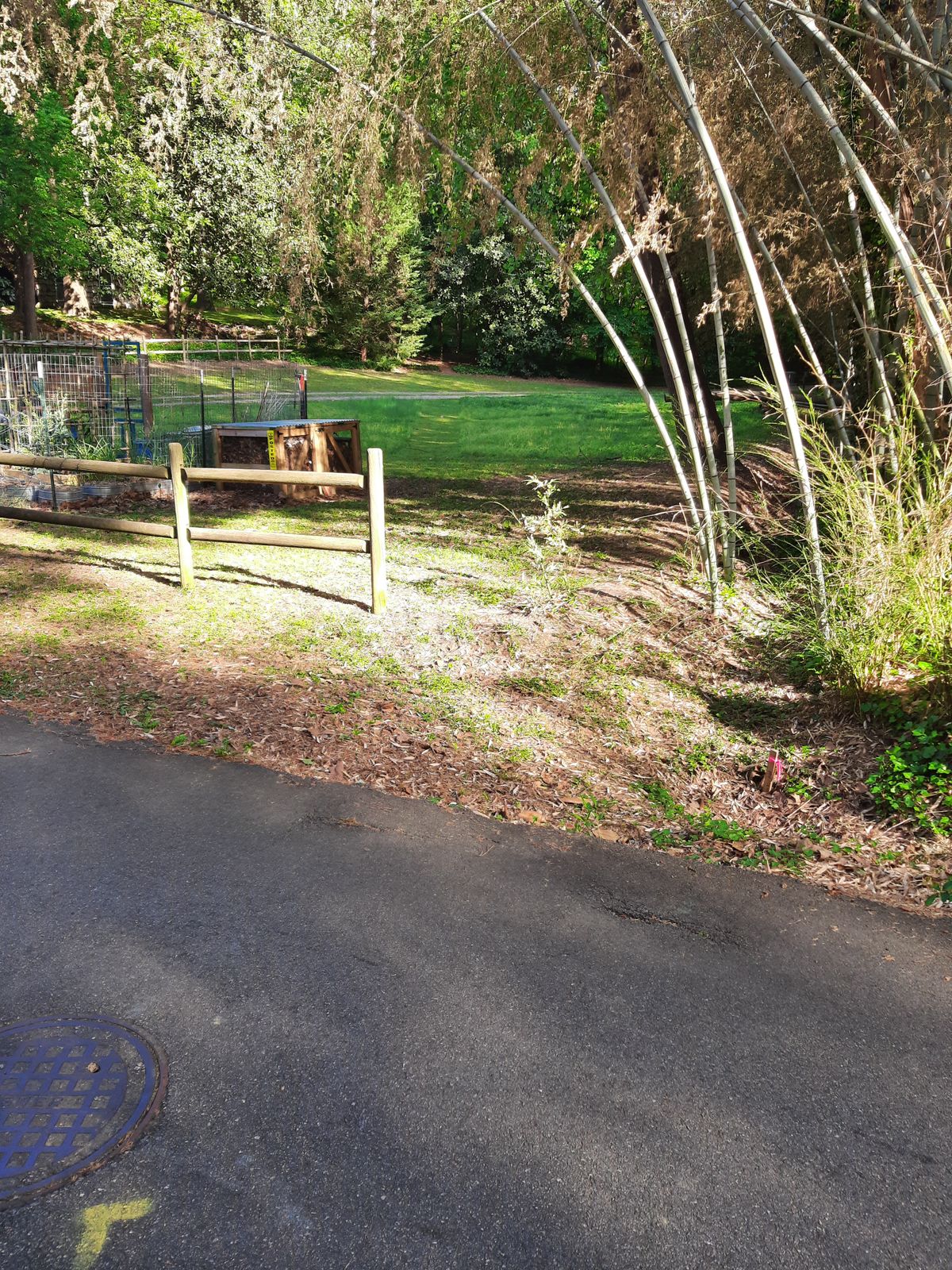 Hole 5 Gold Tee