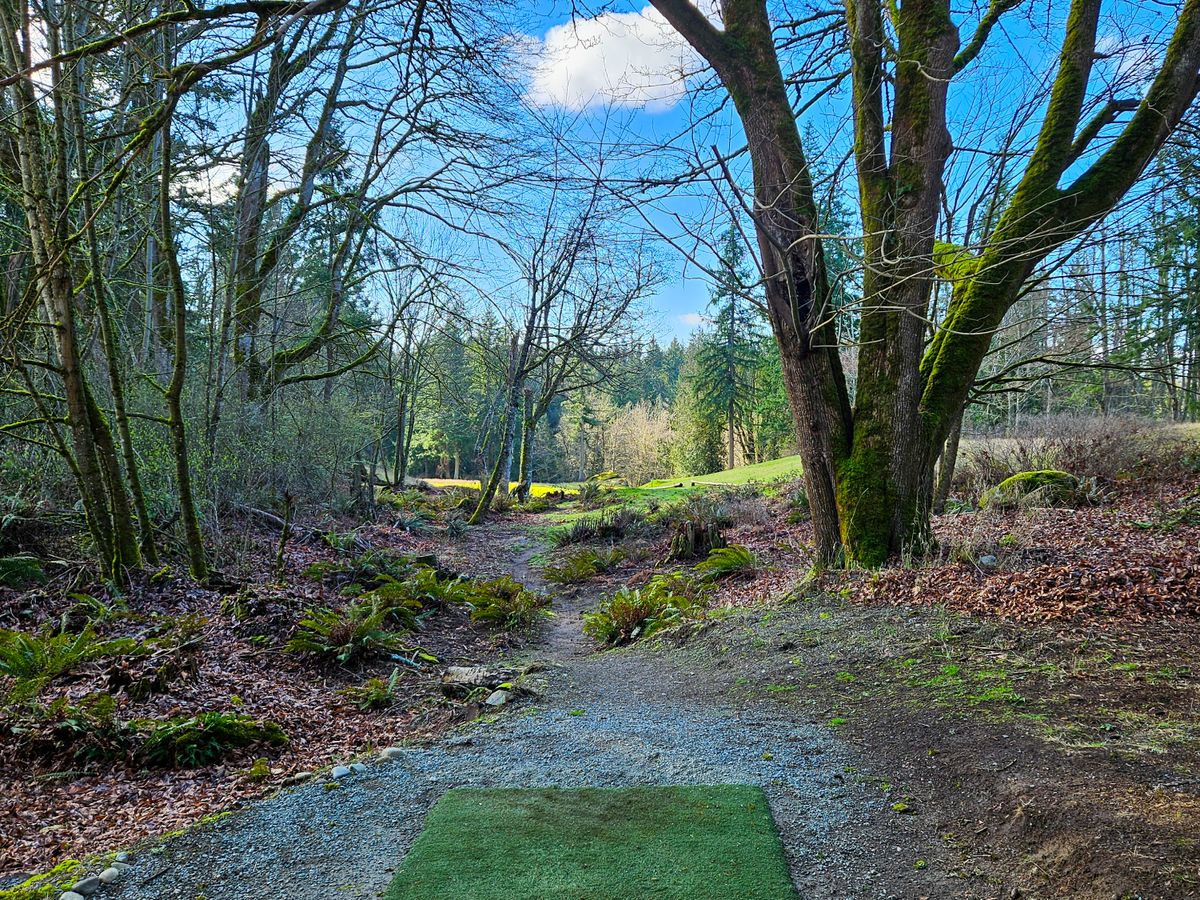 Hole 12 tee pad
