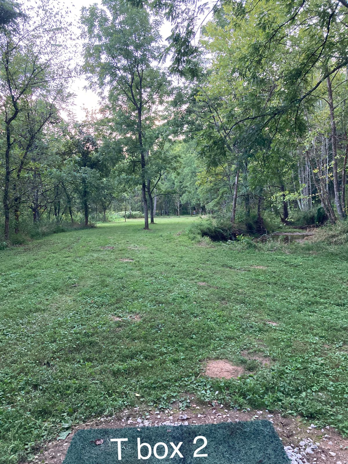 T box 2 hole 11
