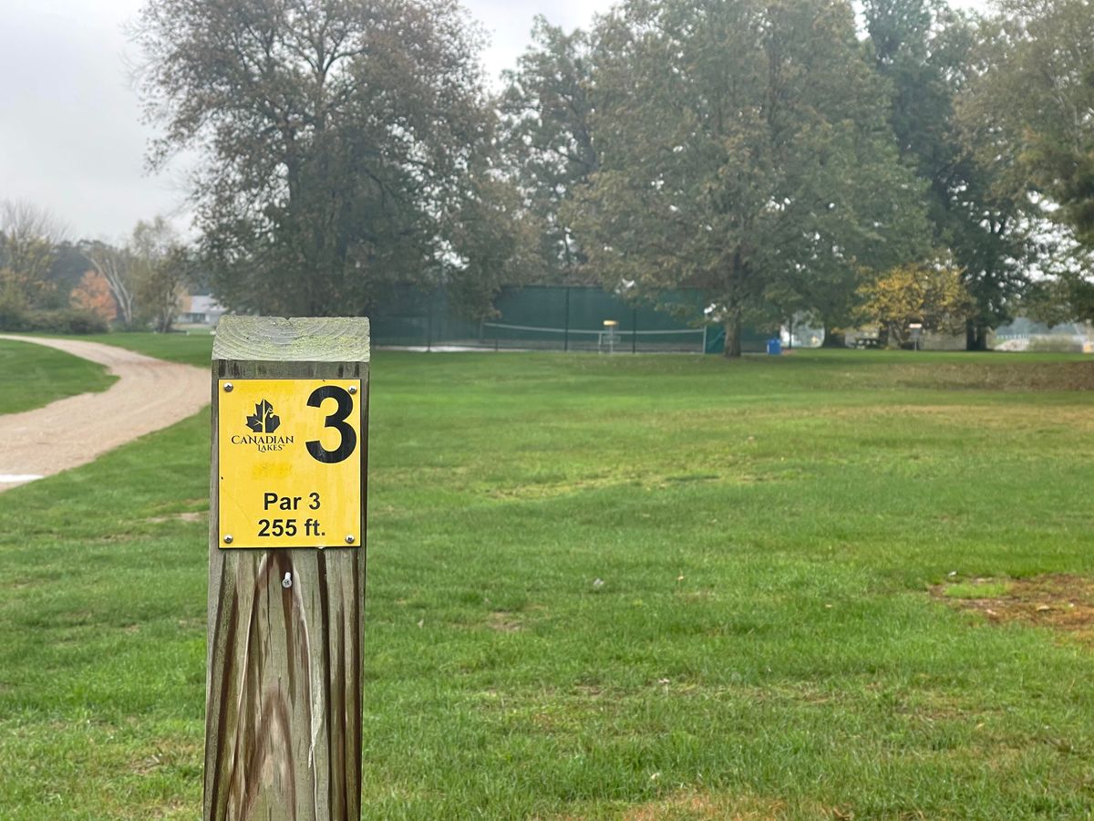 3 Tee
