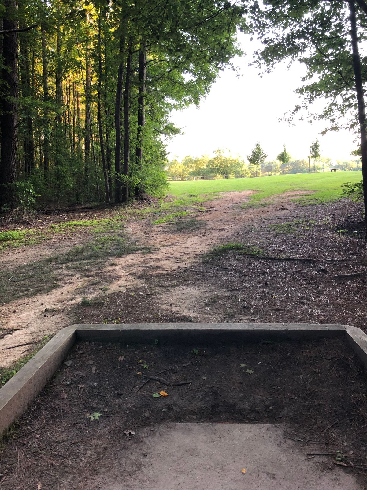 Hole 13 tee.