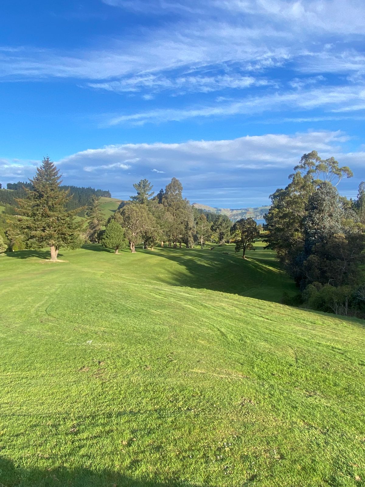 Hole 9 from the tee