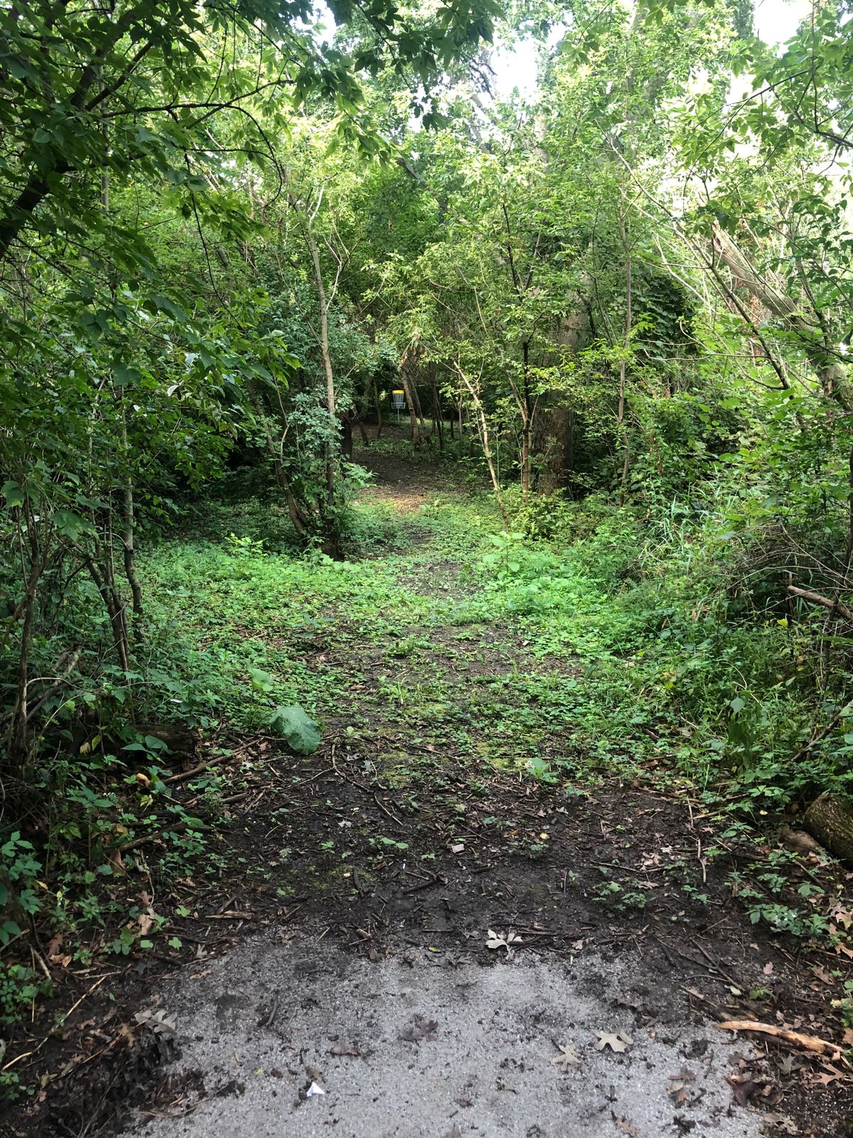 Hole 7