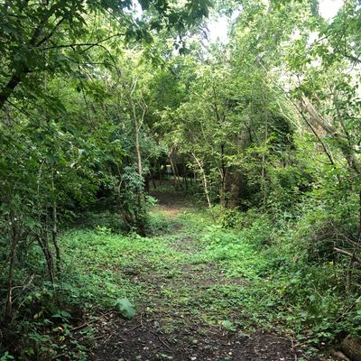Hole 7
