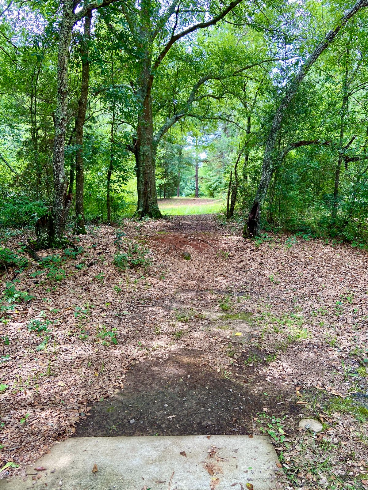 Hole 3 Teepad/Alley