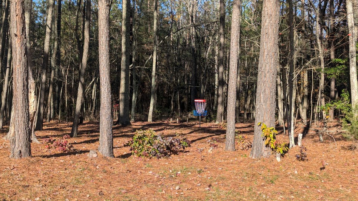 View of hole 16 basket from entry point along field