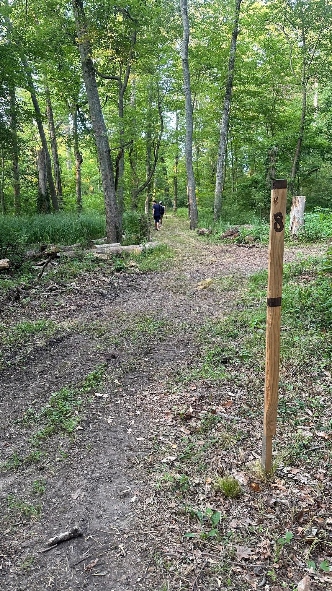 Hole 8 Teepad

Straight tunnel shot with a few guardians near basket.