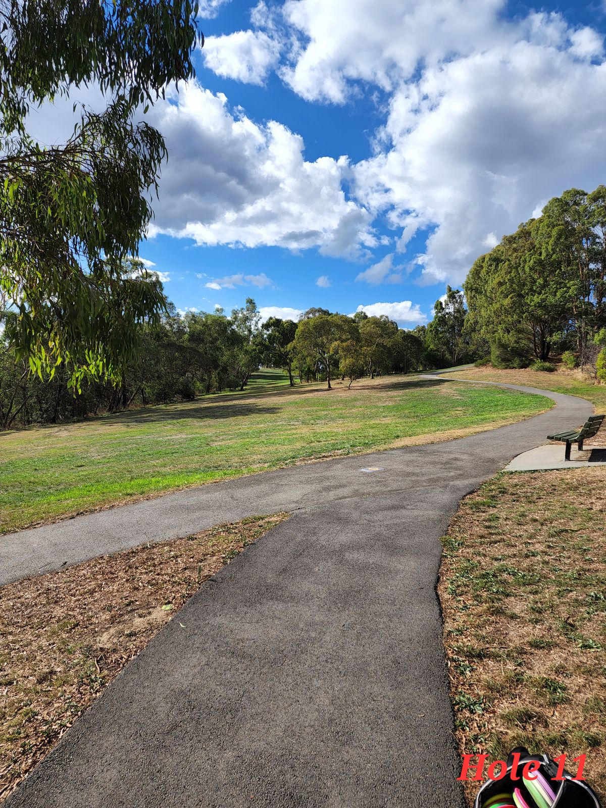 Longest par 4. Straight forehand is common. Best play is a backhand driver up high and wide.