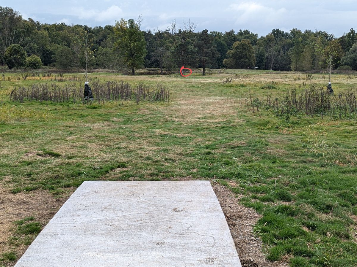 Hole 5