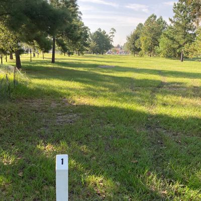 Tee 1