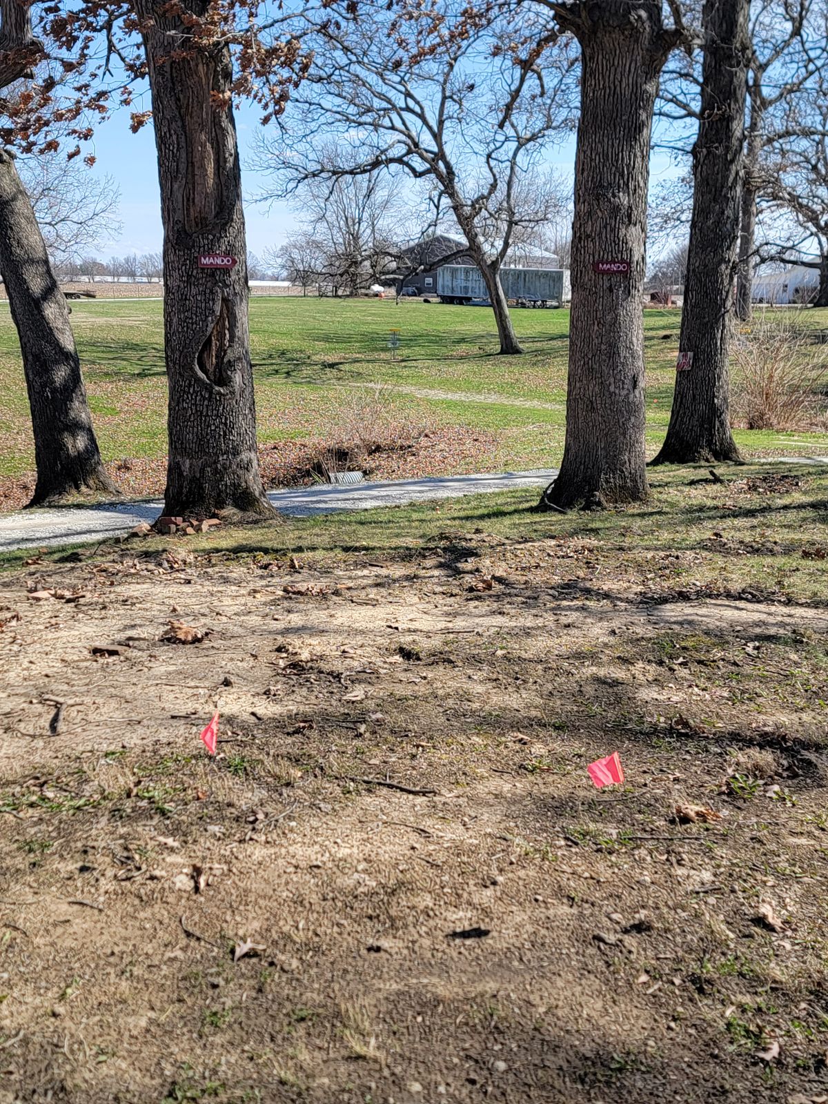 Hole 6 Tee