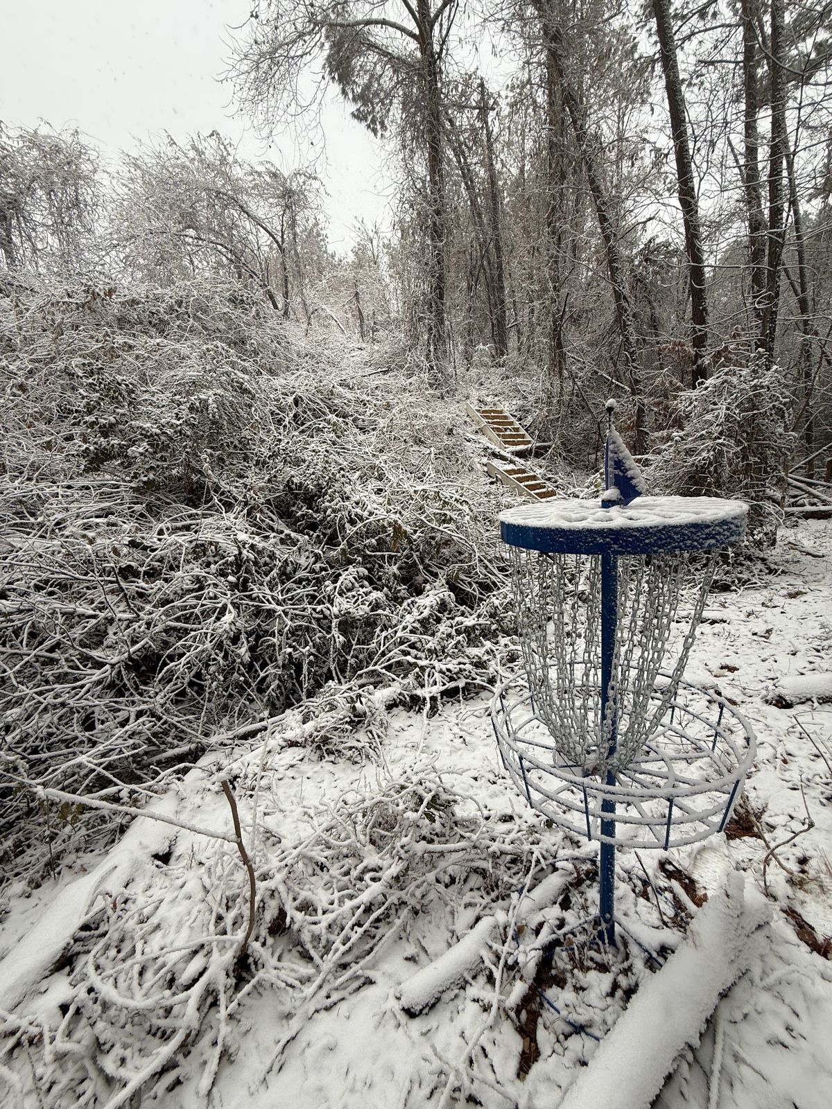 Hole 6 (2026 layout)