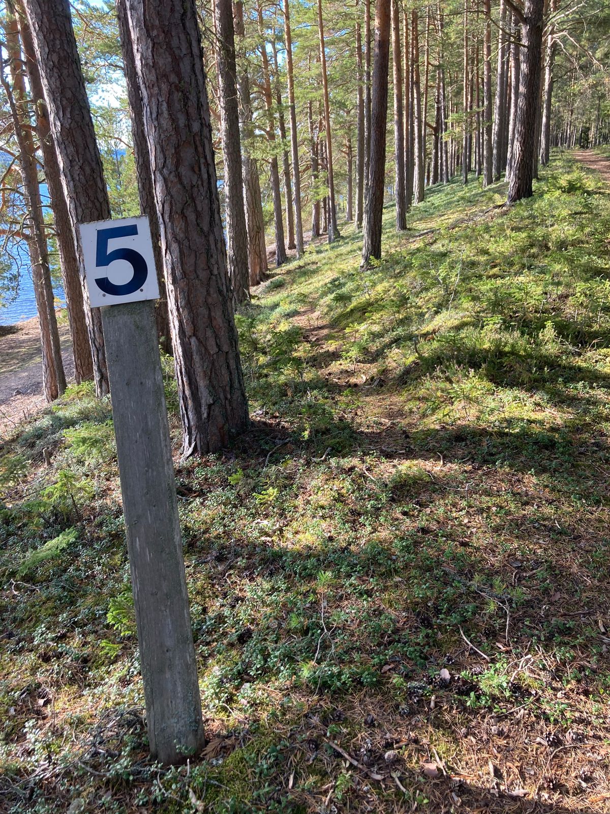 Tee 5 kasta lite till höger om skylten