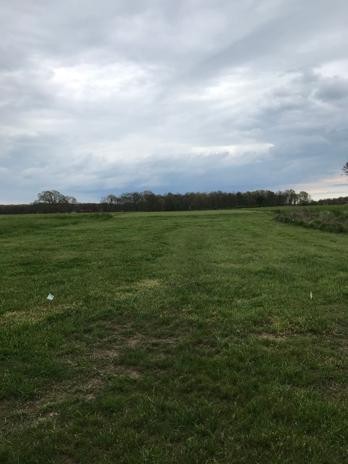 Hole 8 fairway